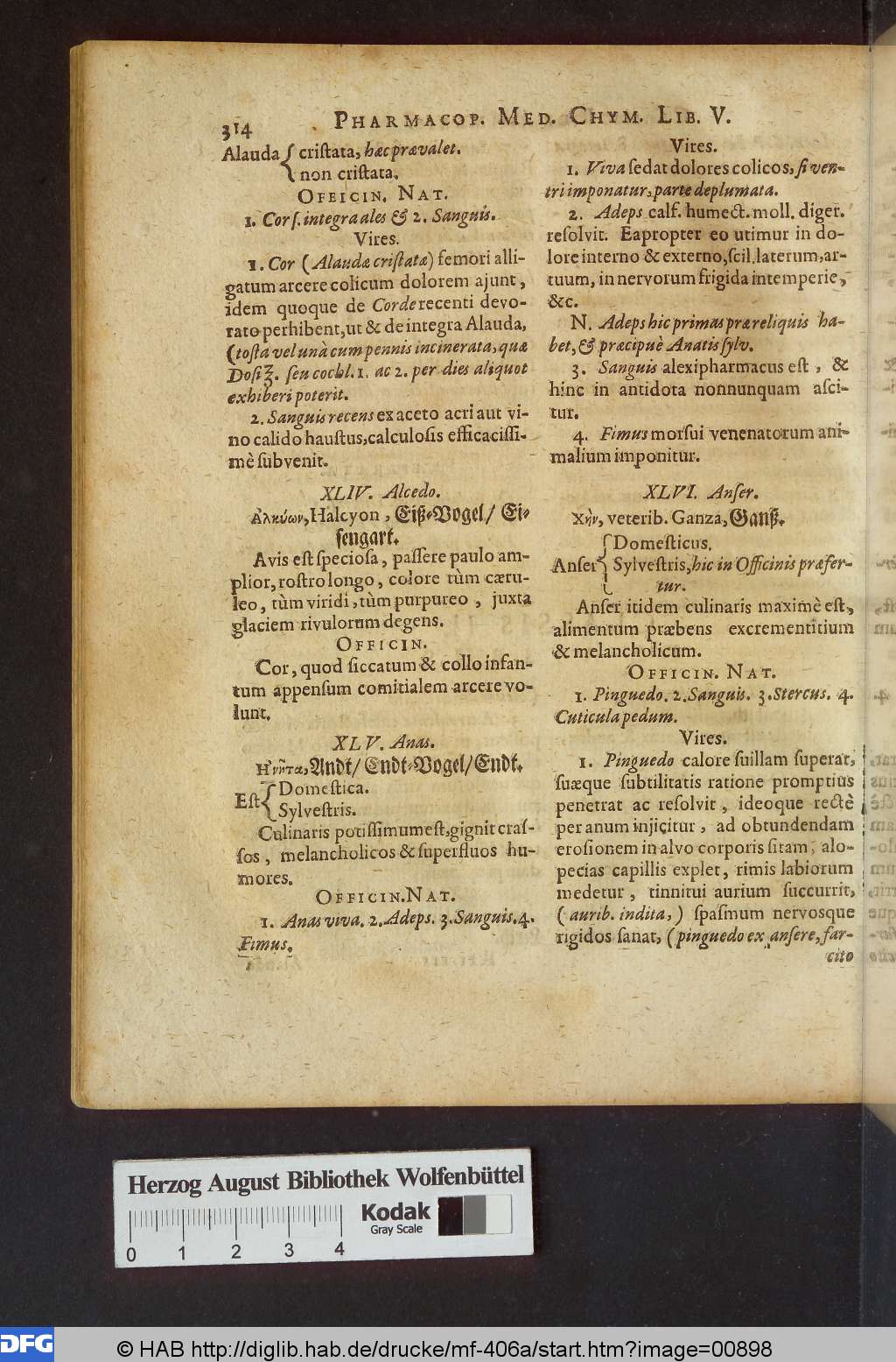 http://diglib.hab.de/drucke/mf-406a/00898.jpg