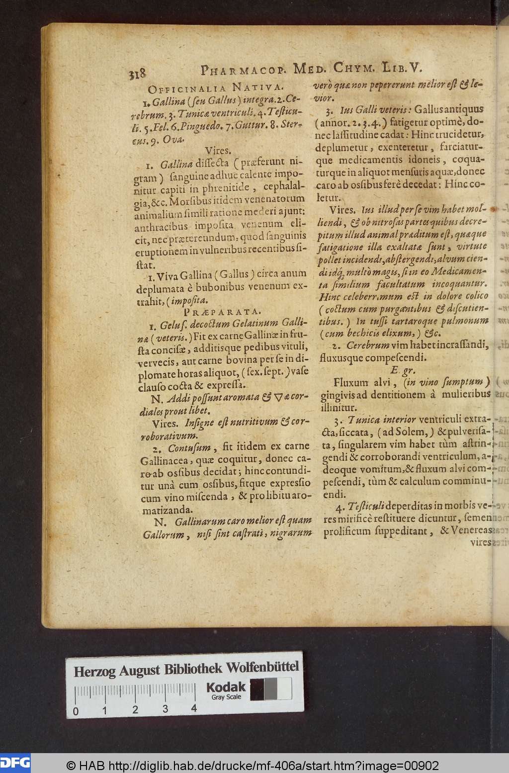 http://diglib.hab.de/drucke/mf-406a/00902.jpg