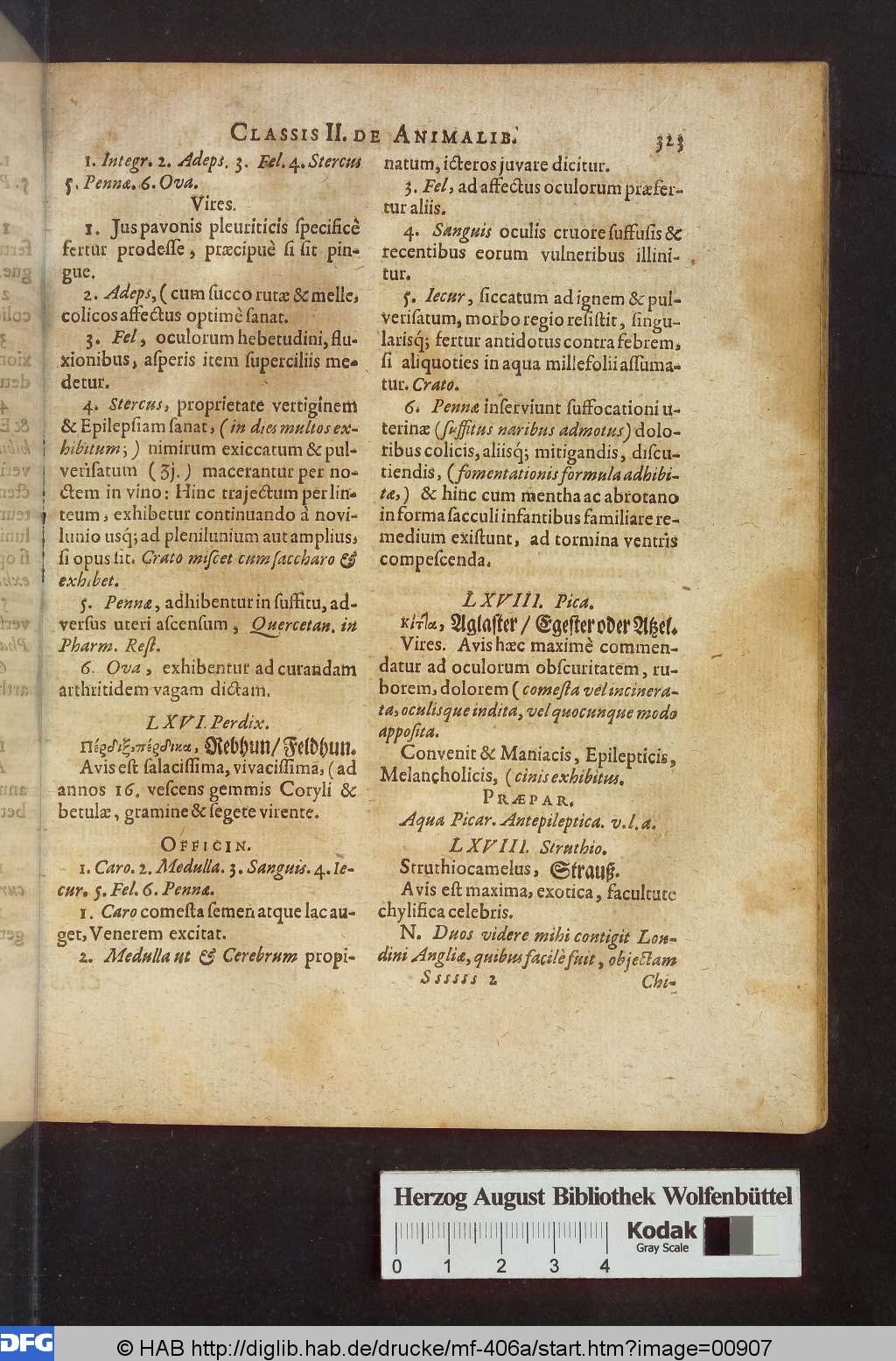 http://diglib.hab.de/drucke/mf-406a/00907.jpg