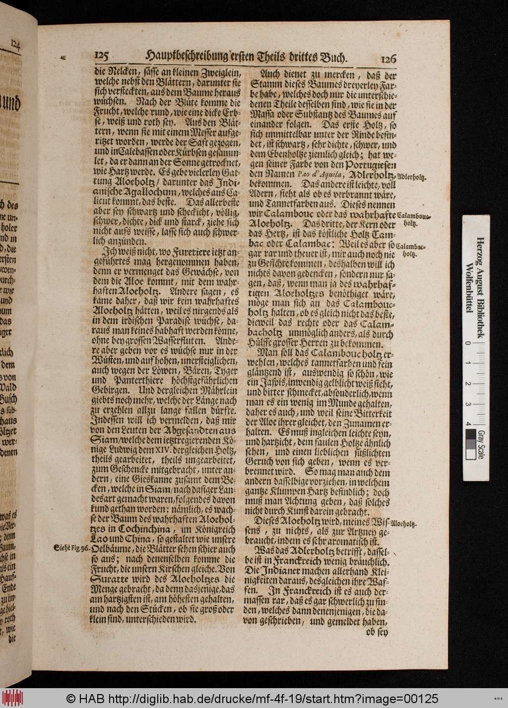 http://diglib.hab.de/drucke/mf-4f-19/00125.jpg