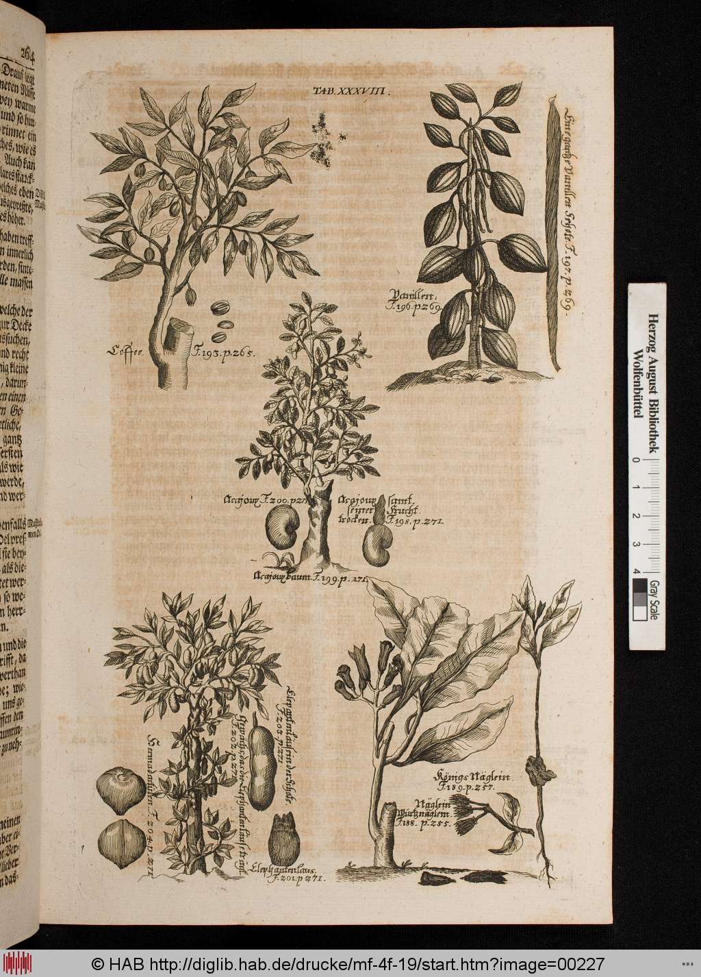 http://diglib.hab.de/drucke/mf-4f-19/00227.jpg
