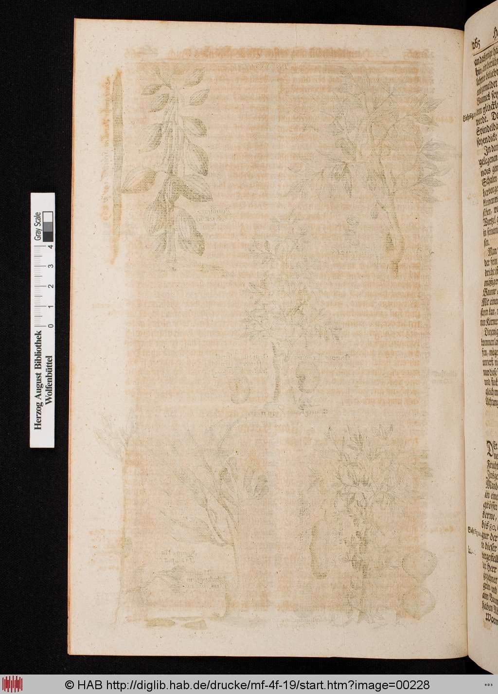 http://diglib.hab.de/drucke/mf-4f-19/00228.jpg