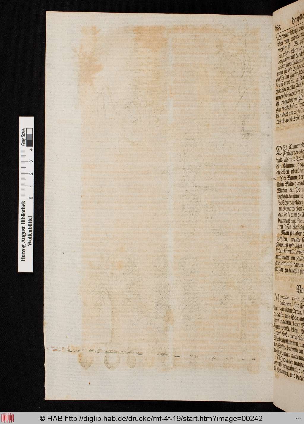 http://diglib.hab.de/drucke/mf-4f-19/00242.jpg