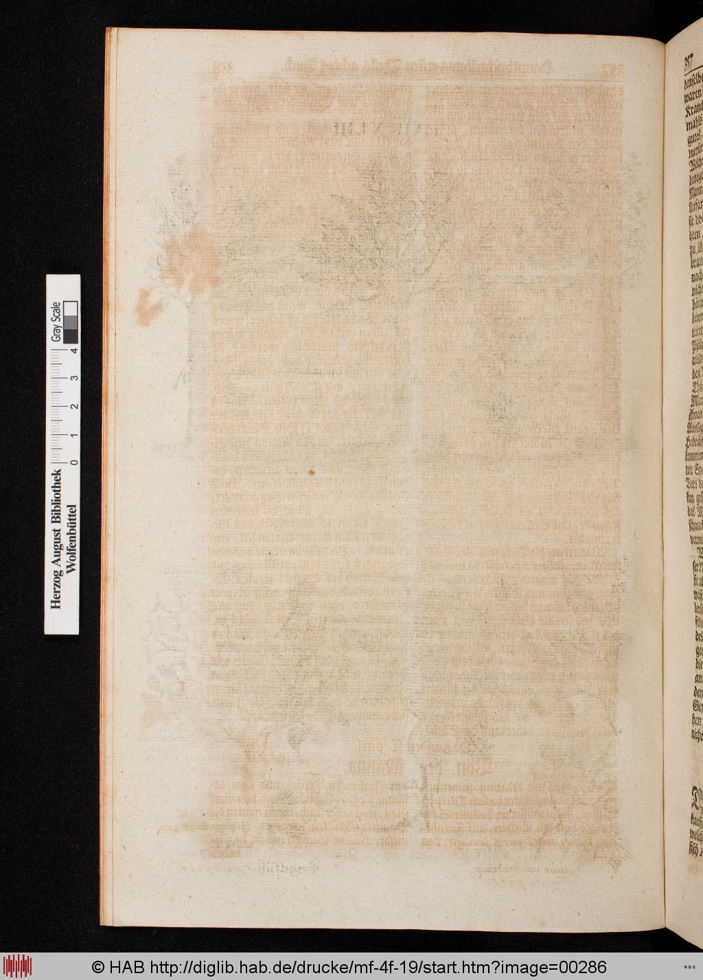 http://diglib.hab.de/drucke/mf-4f-19/00286.jpg