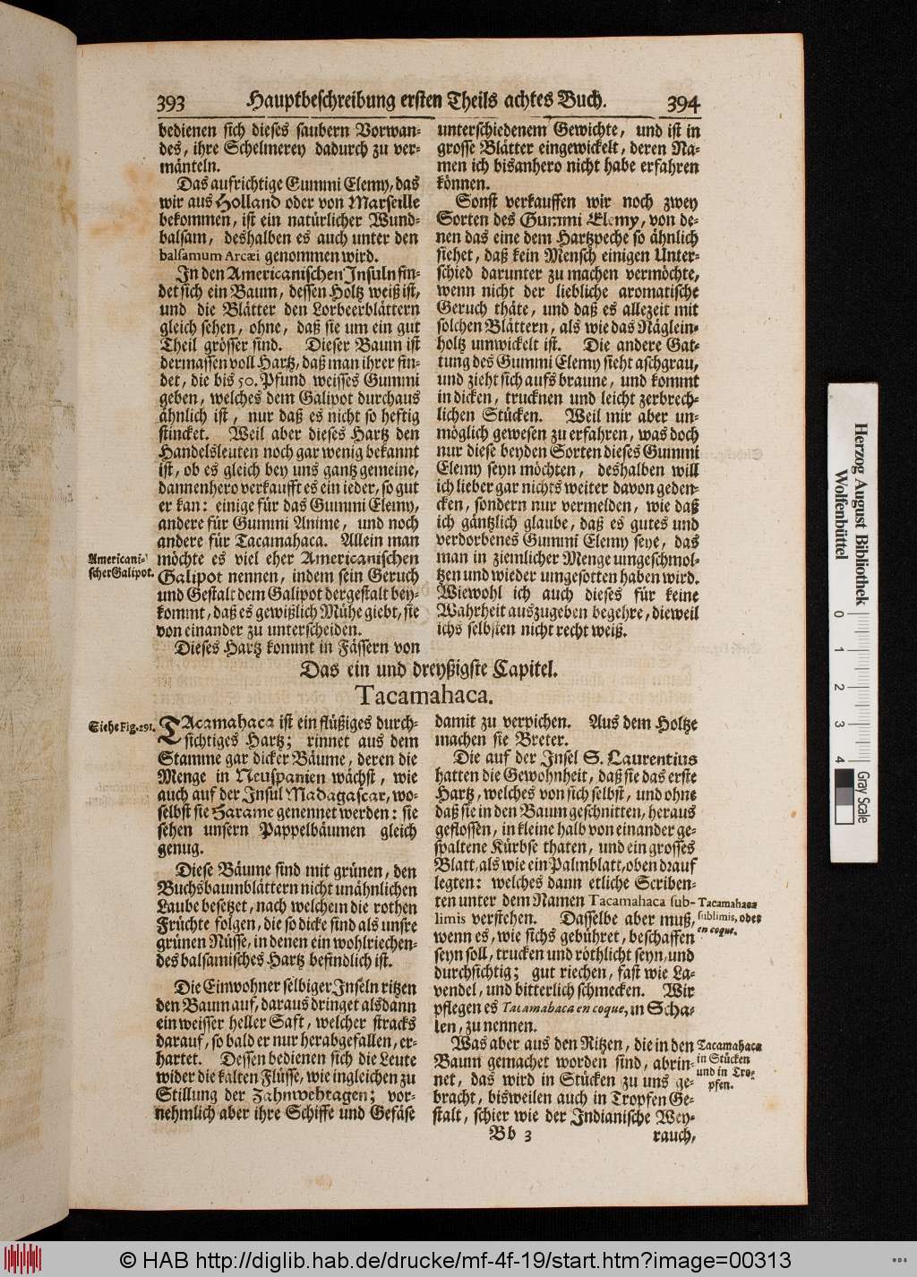 http://diglib.hab.de/drucke/mf-4f-19/00313.jpg