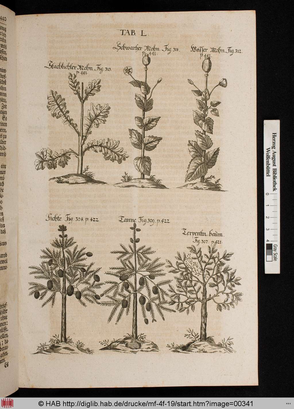 http://diglib.hab.de/drucke/mf-4f-19/00341.jpg