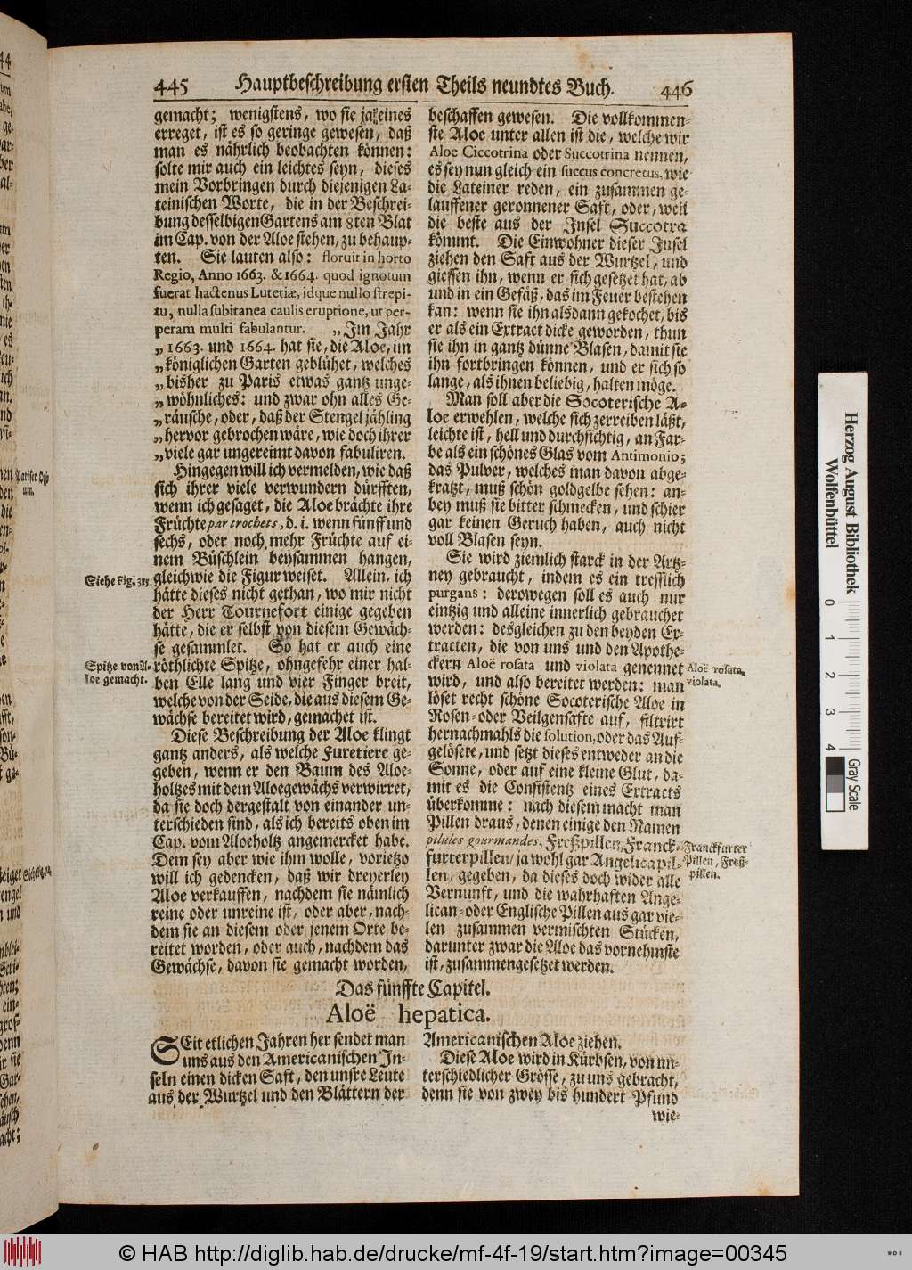 http://diglib.hab.de/drucke/mf-4f-19/00345.jpg