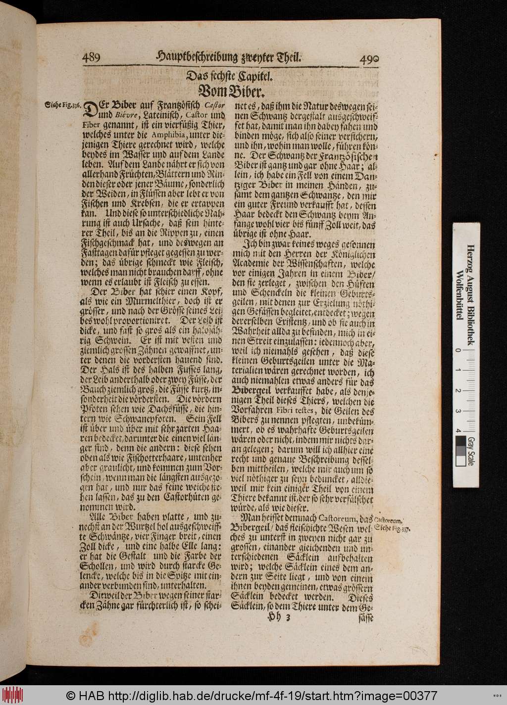 http://diglib.hab.de/drucke/mf-4f-19/00377.jpg
