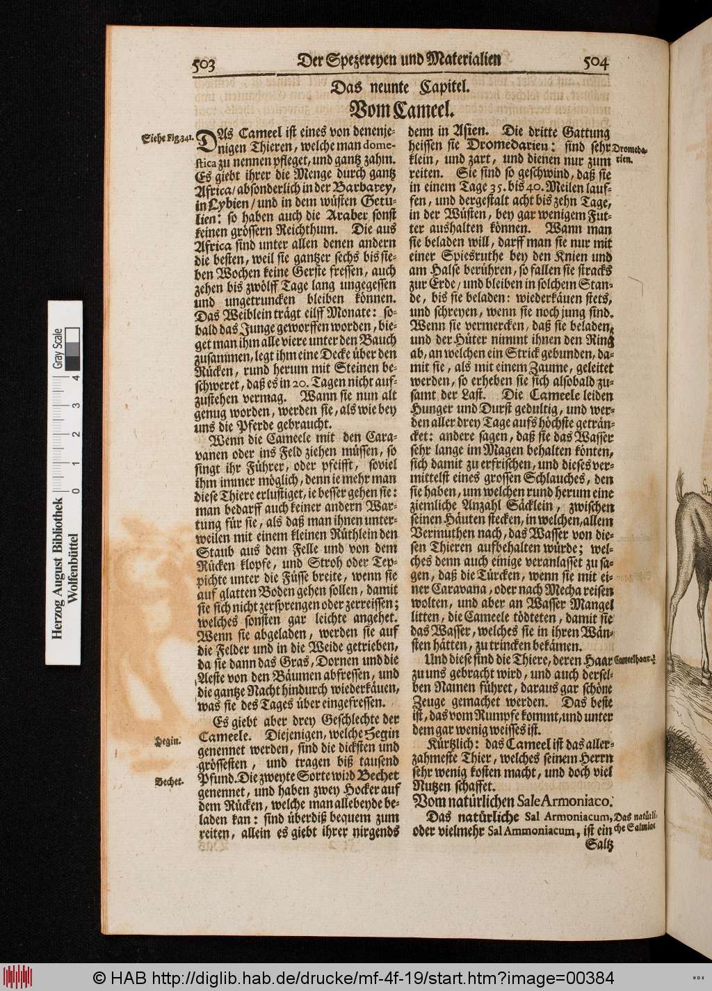 http://diglib.hab.de/drucke/mf-4f-19/00384.jpg