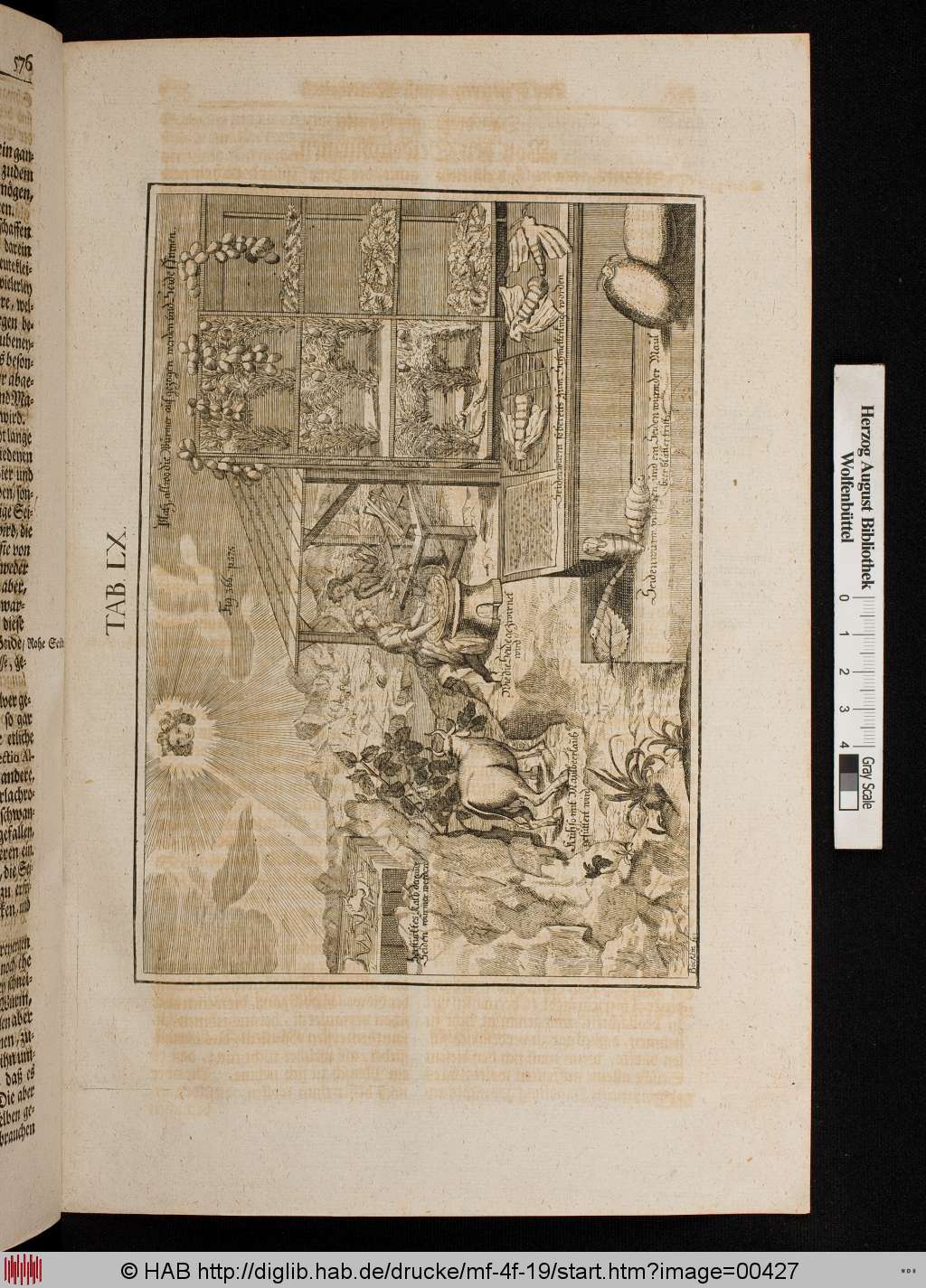 http://diglib.hab.de/drucke/mf-4f-19/00427.jpg