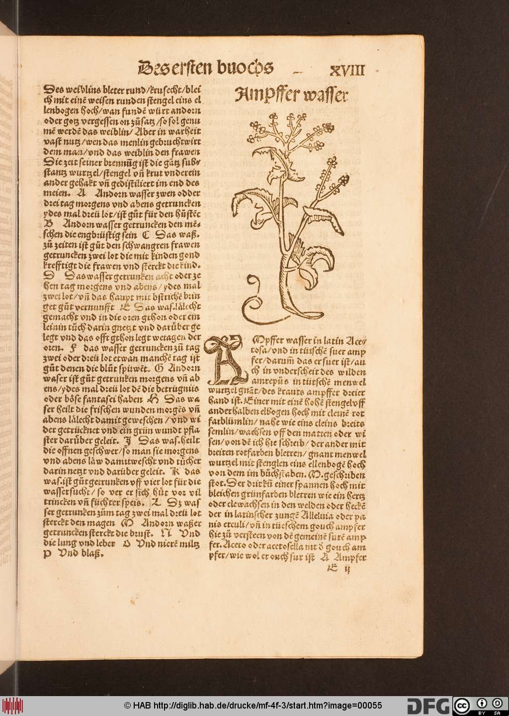 http://diglib.hab.de/drucke/mf-4f-3/00055.jpg