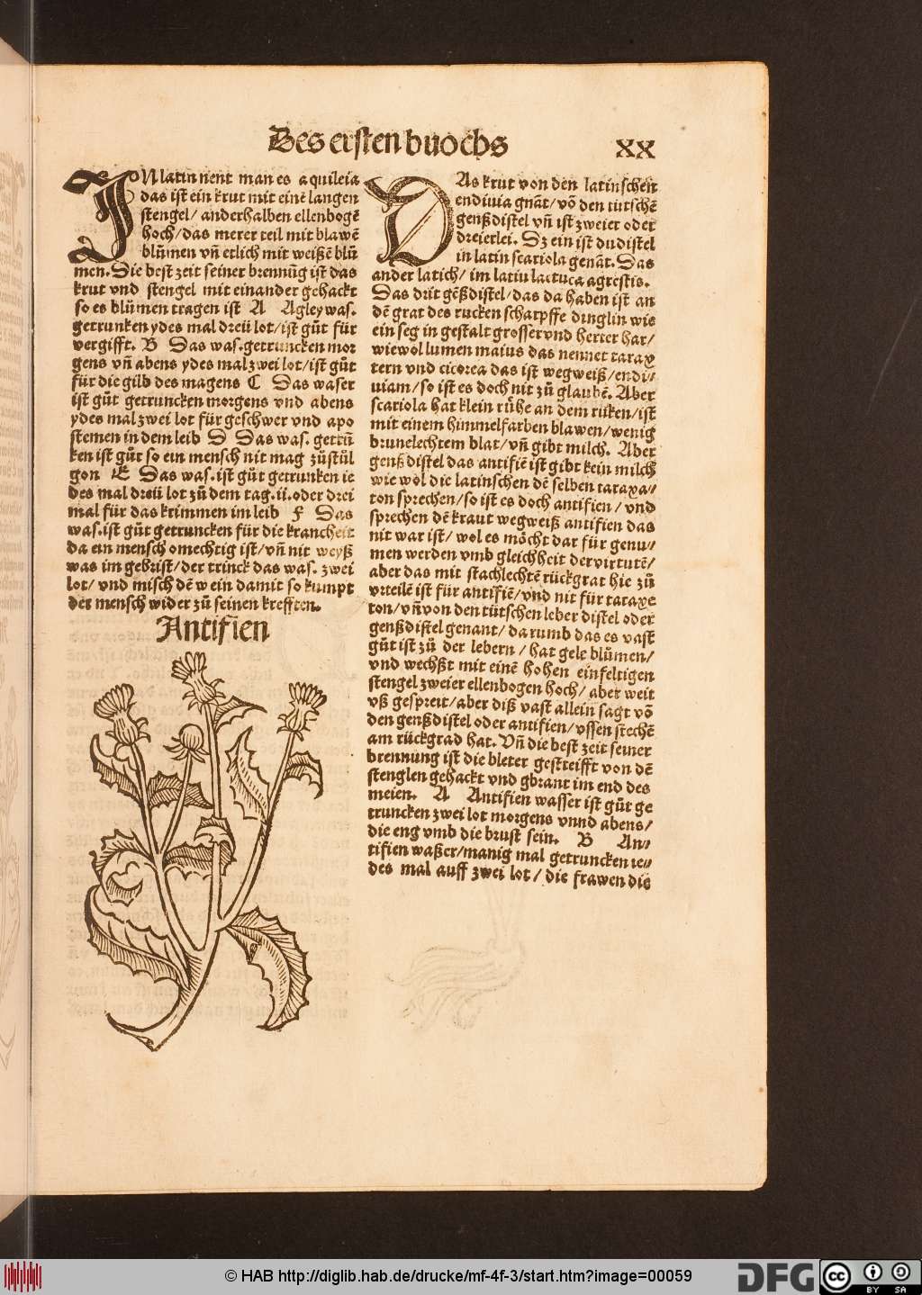 http://diglib.hab.de/drucke/mf-4f-3/00059.jpg