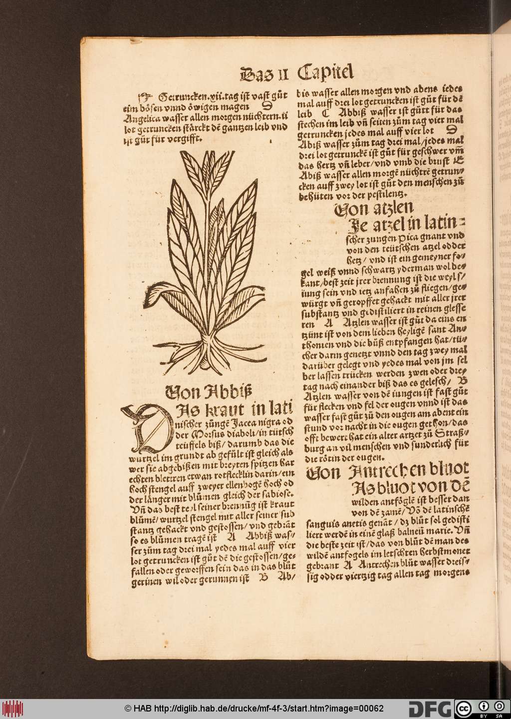 http://diglib.hab.de/drucke/mf-4f-3/00062.jpg