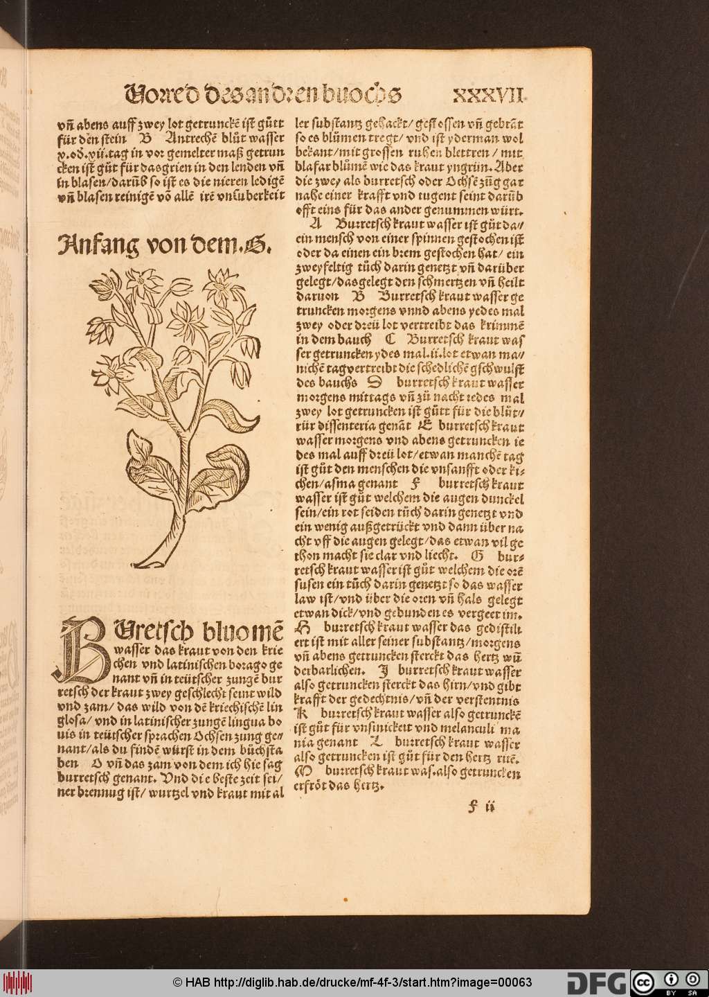http://diglib.hab.de/drucke/mf-4f-3/00063.jpg