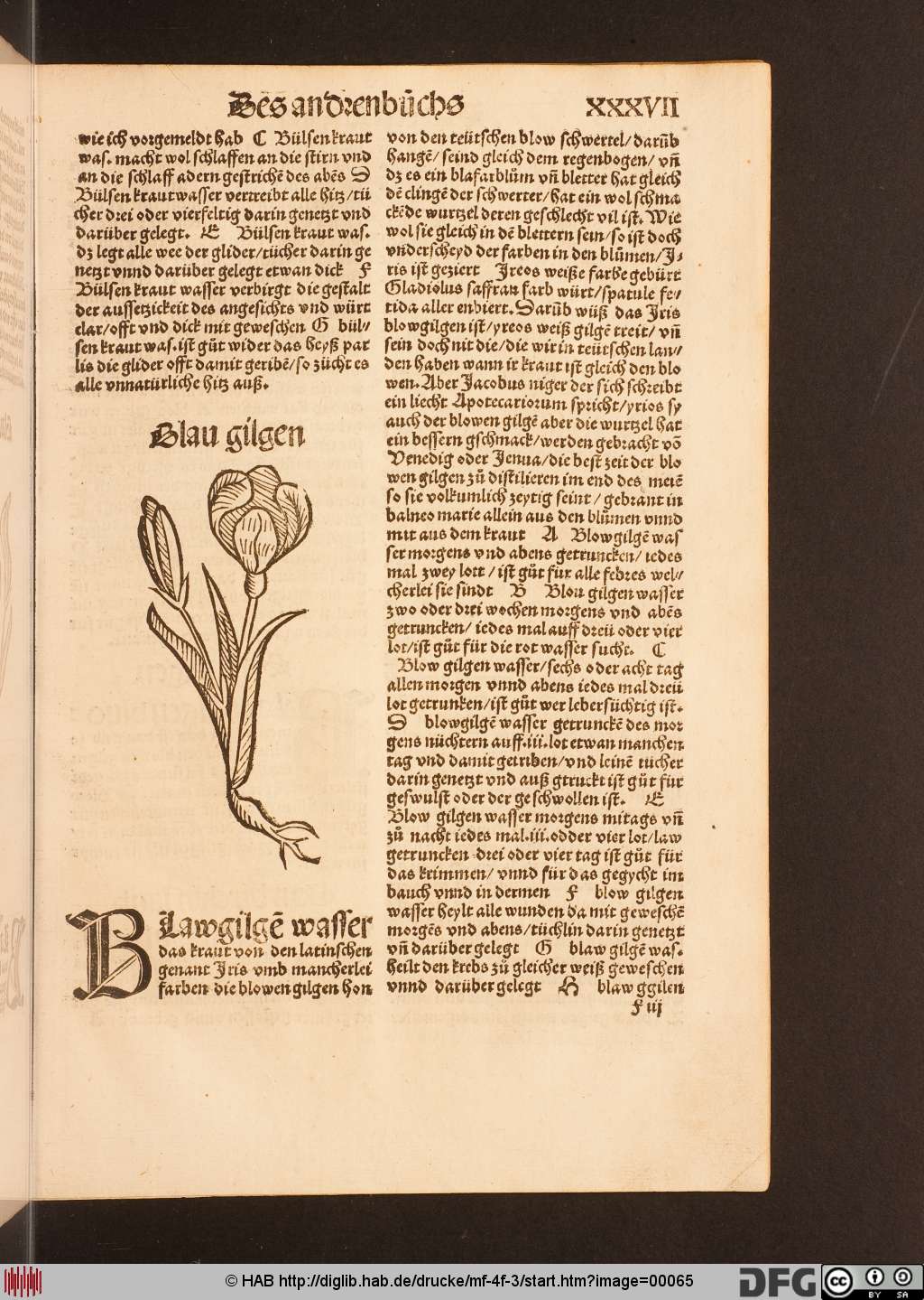 http://diglib.hab.de/drucke/mf-4f-3/00065.jpg
