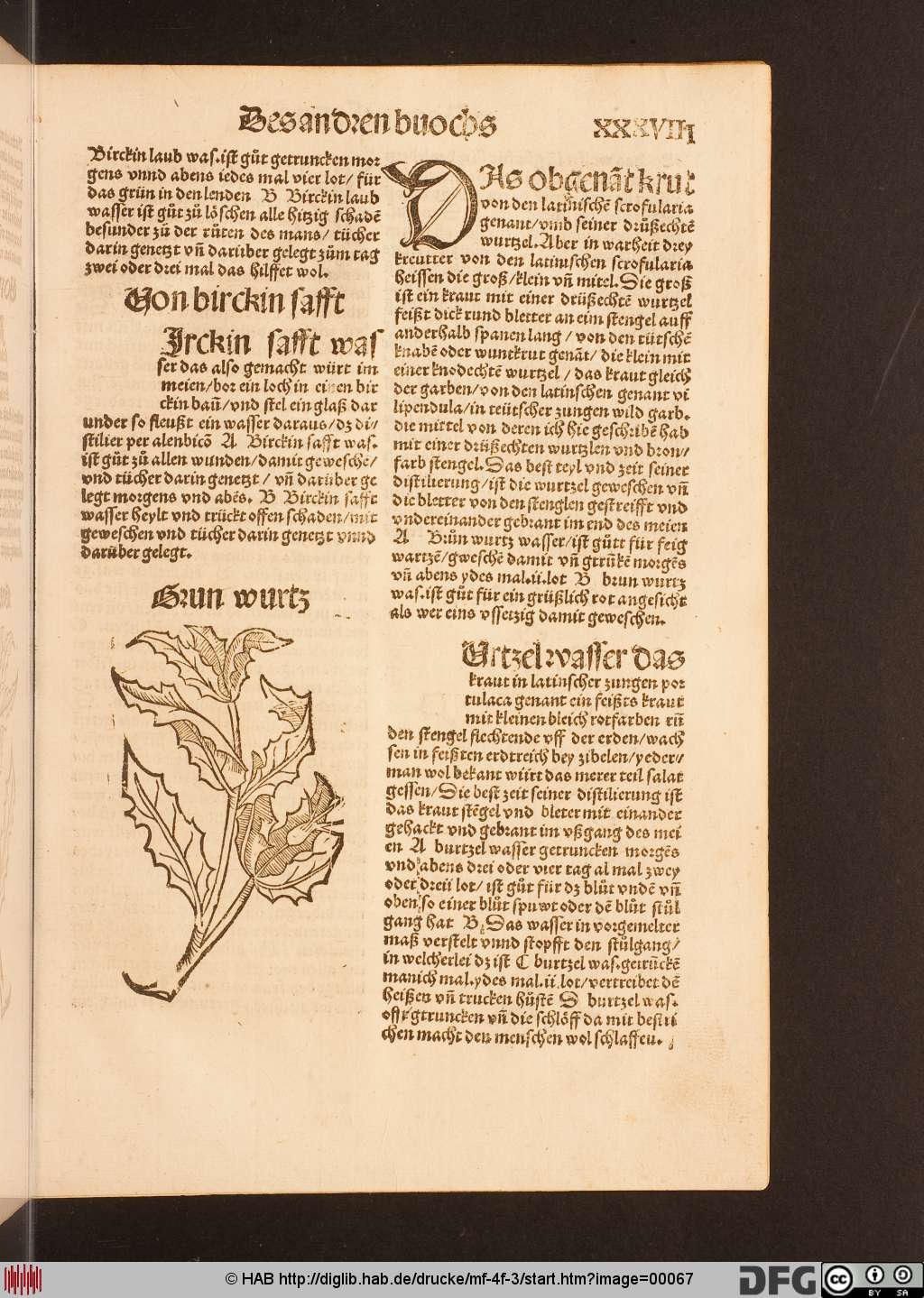 http://diglib.hab.de/drucke/mf-4f-3/00067.jpg