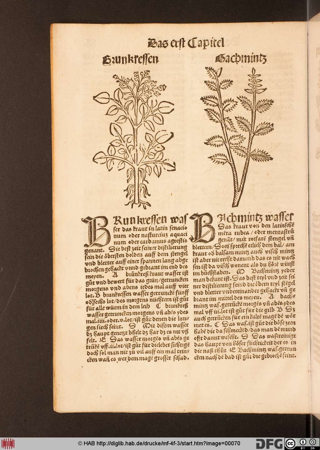 http://diglib.hab.de/drucke/mf-4f-3/00070.jpg