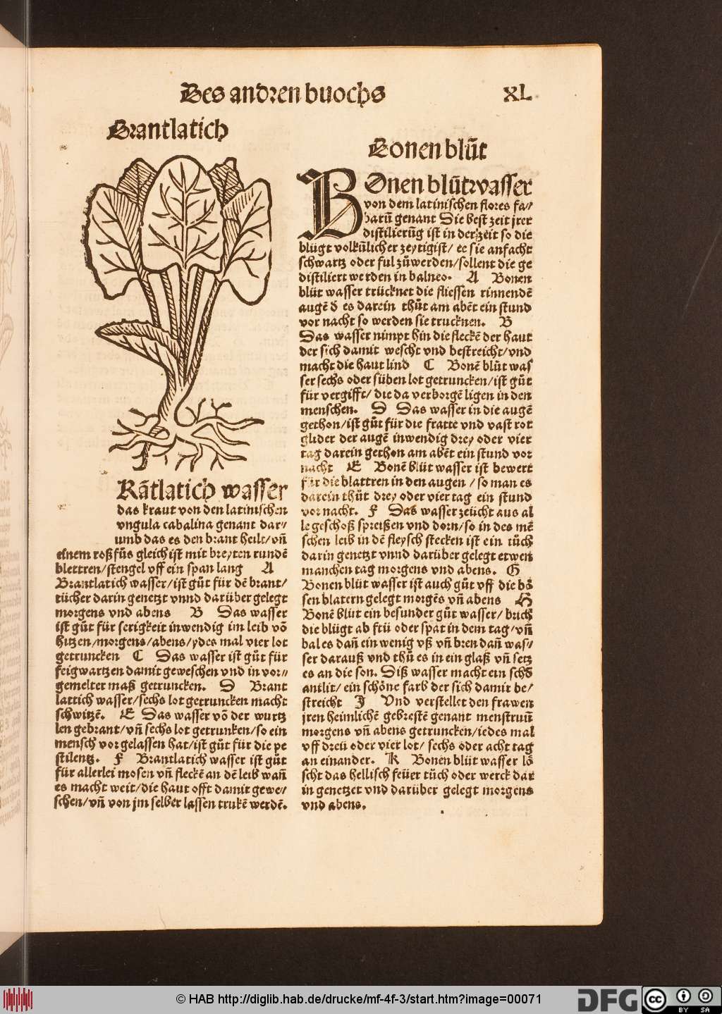 http://diglib.hab.de/drucke/mf-4f-3/00071.jpg