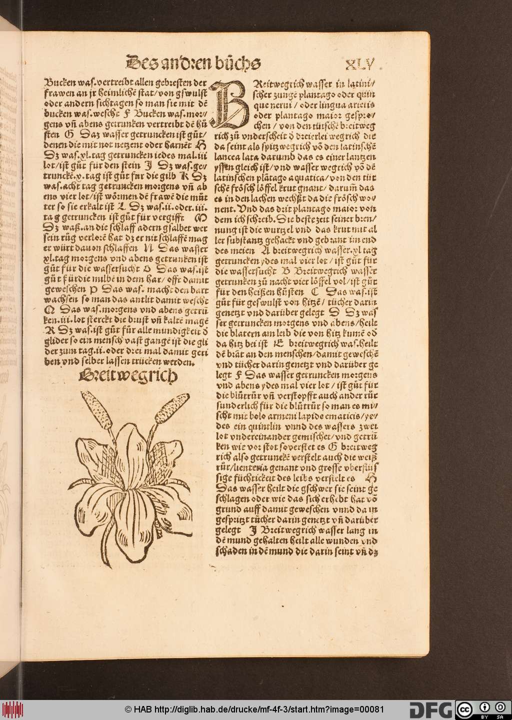 http://diglib.hab.de/drucke/mf-4f-3/00081.jpg