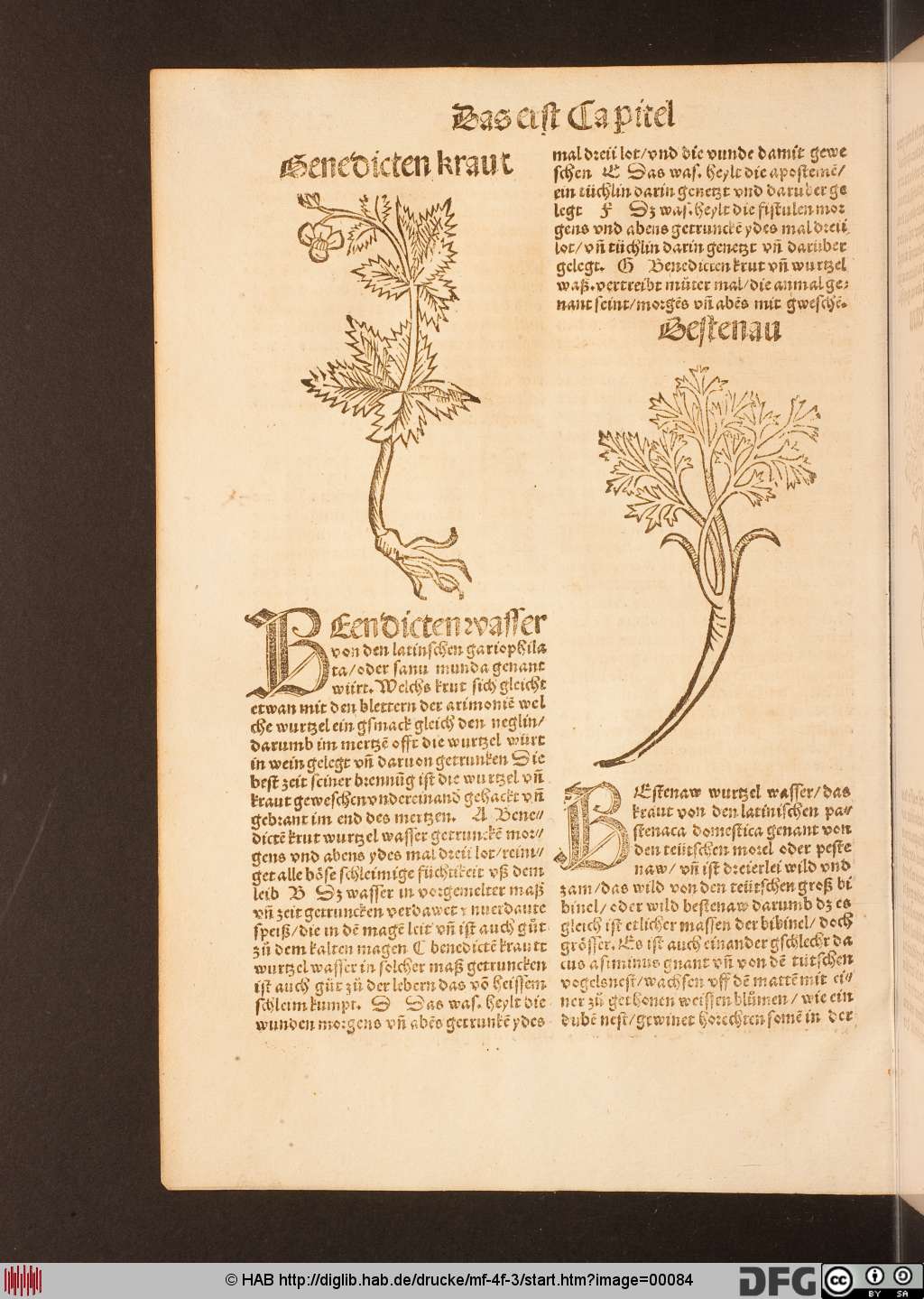 http://diglib.hab.de/drucke/mf-4f-3/00084.jpg