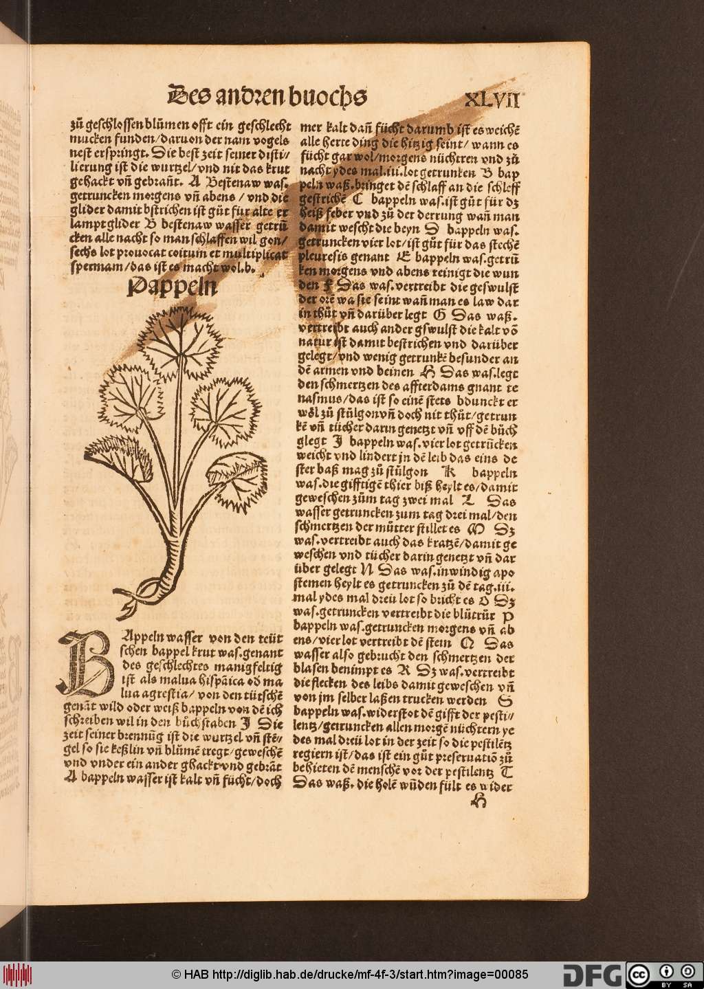 http://diglib.hab.de/drucke/mf-4f-3/00085.jpg