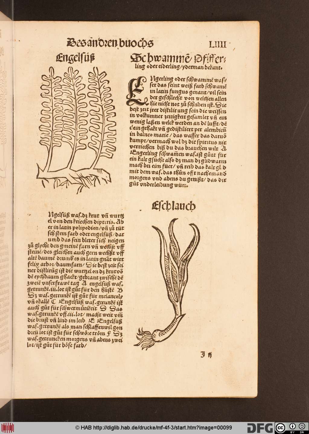 http://diglib.hab.de/drucke/mf-4f-3/00099.jpg