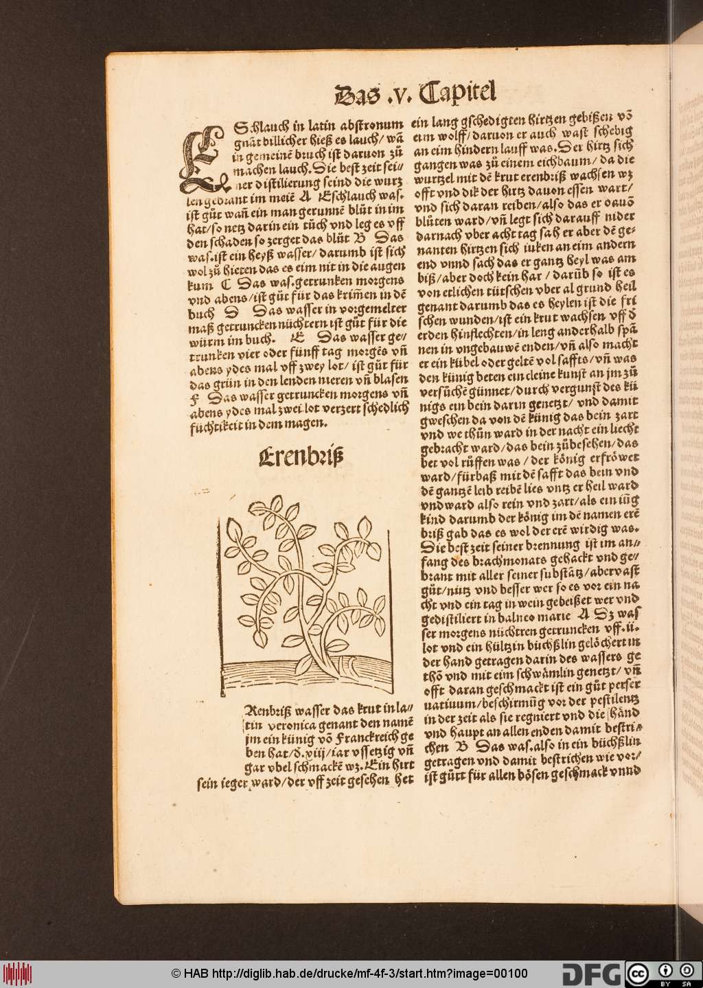 http://diglib.hab.de/drucke/mf-4f-3/00100.jpg