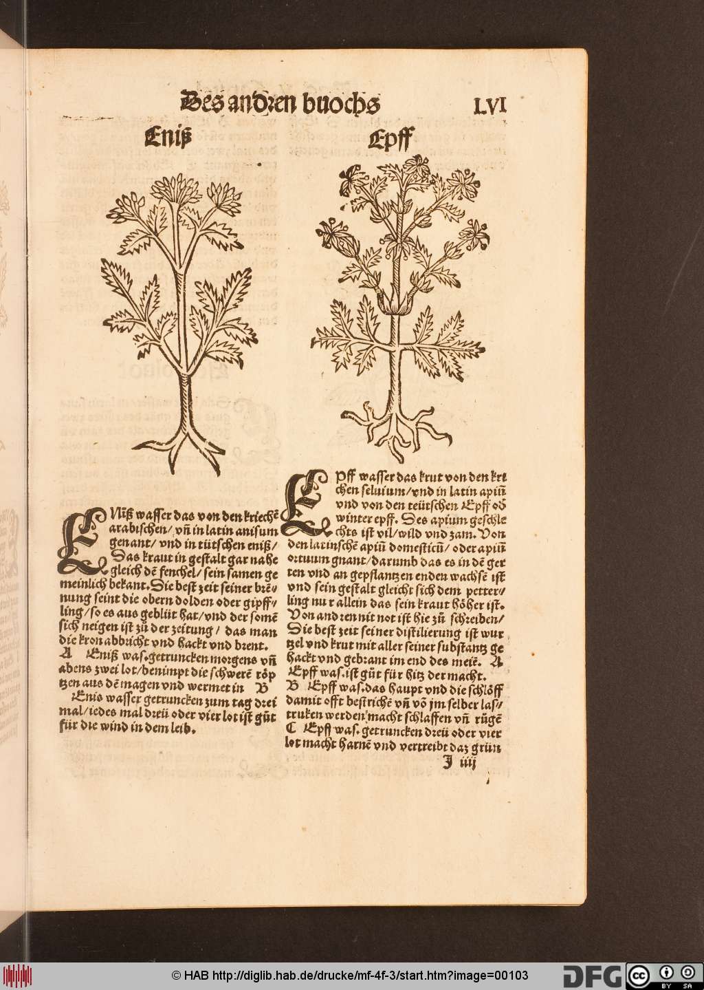 http://diglib.hab.de/drucke/mf-4f-3/00103.jpg