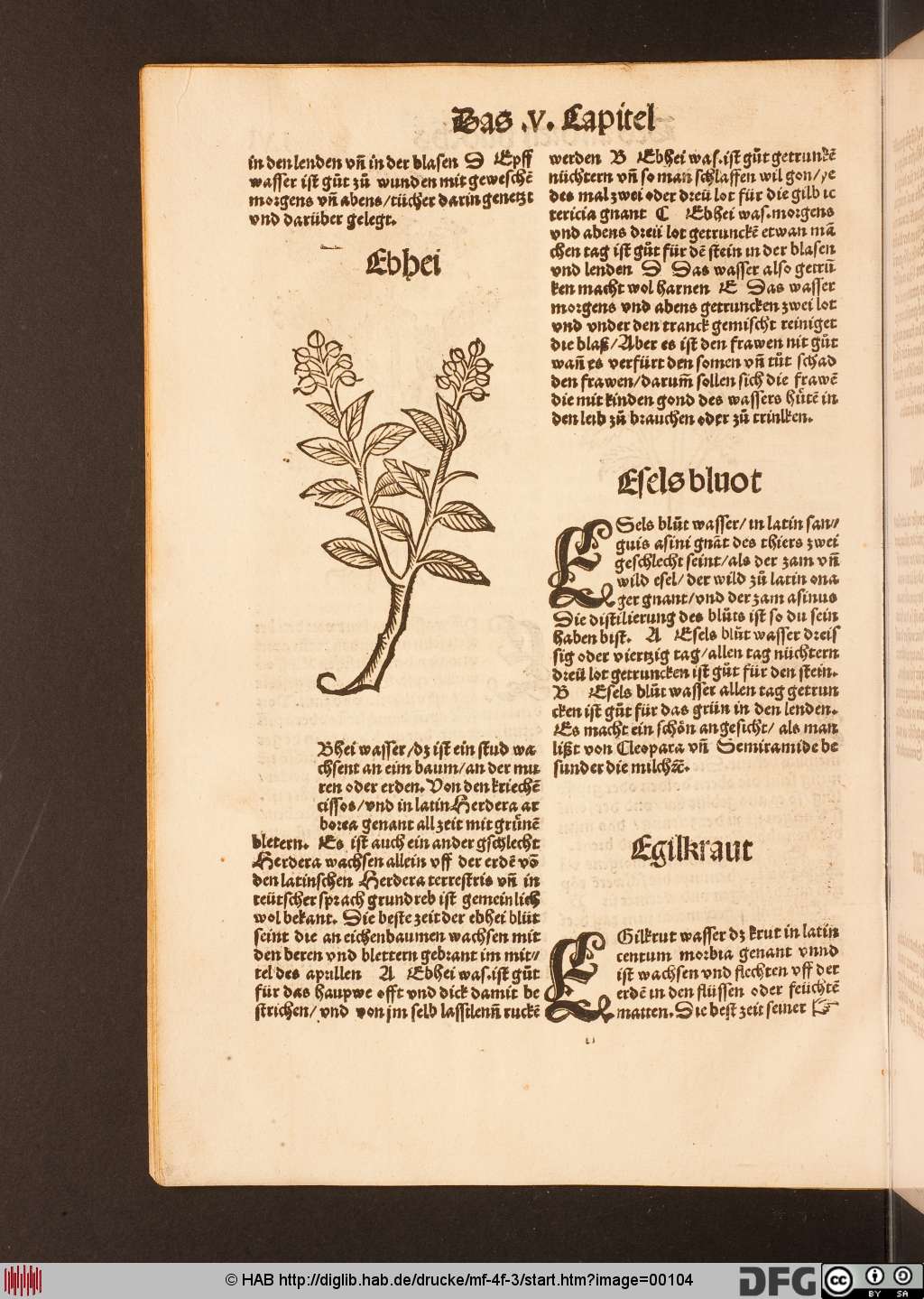 http://diglib.hab.de/drucke/mf-4f-3/00104.jpg