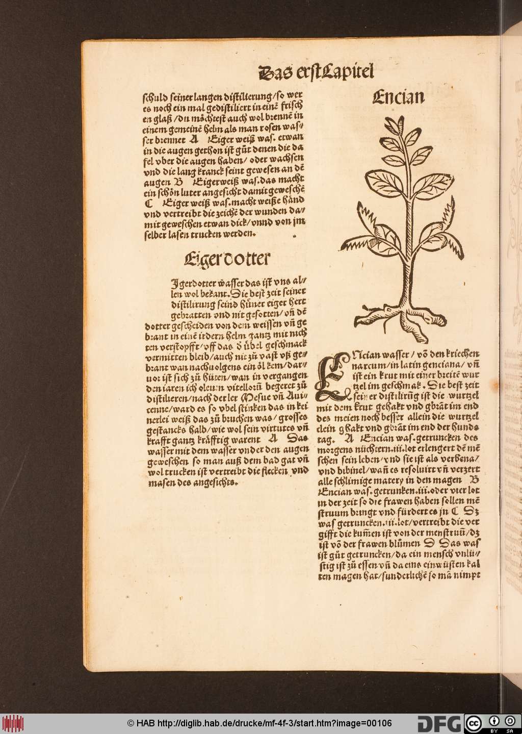 http://diglib.hab.de/drucke/mf-4f-3/00106.jpg