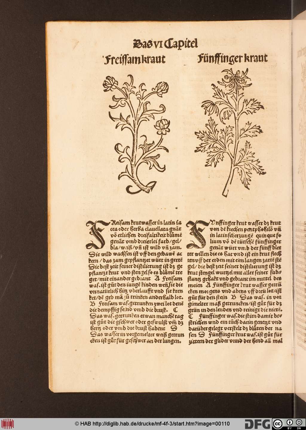 http://diglib.hab.de/drucke/mf-4f-3/00110.jpg