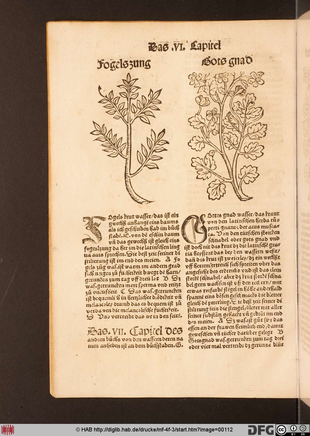 http://diglib.hab.de/drucke/mf-4f-3/00112.jpg