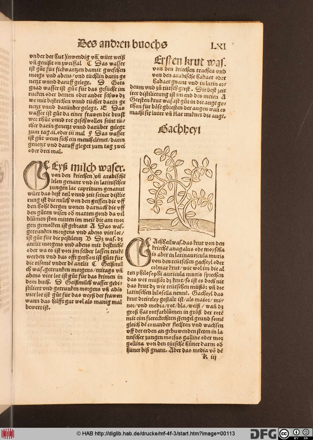 http://diglib.hab.de/drucke/mf-4f-3/00113.jpg