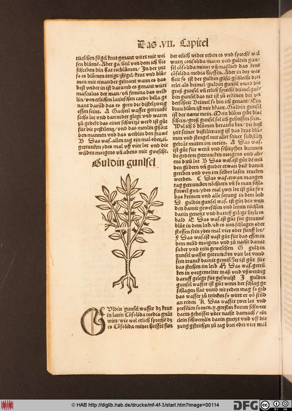 http://diglib.hab.de/drucke/mf-4f-3/00114.jpg