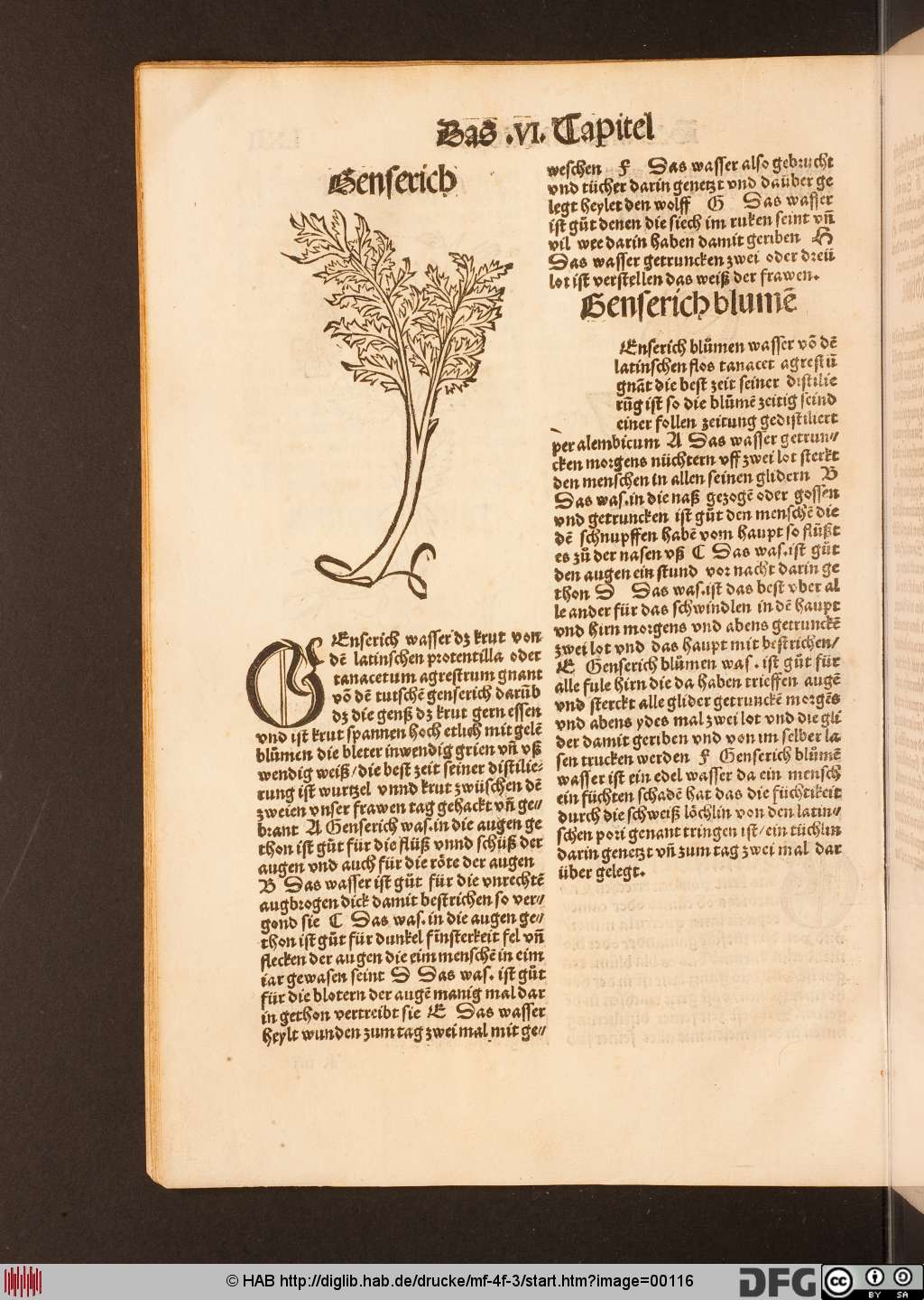 http://diglib.hab.de/drucke/mf-4f-3/00116.jpg