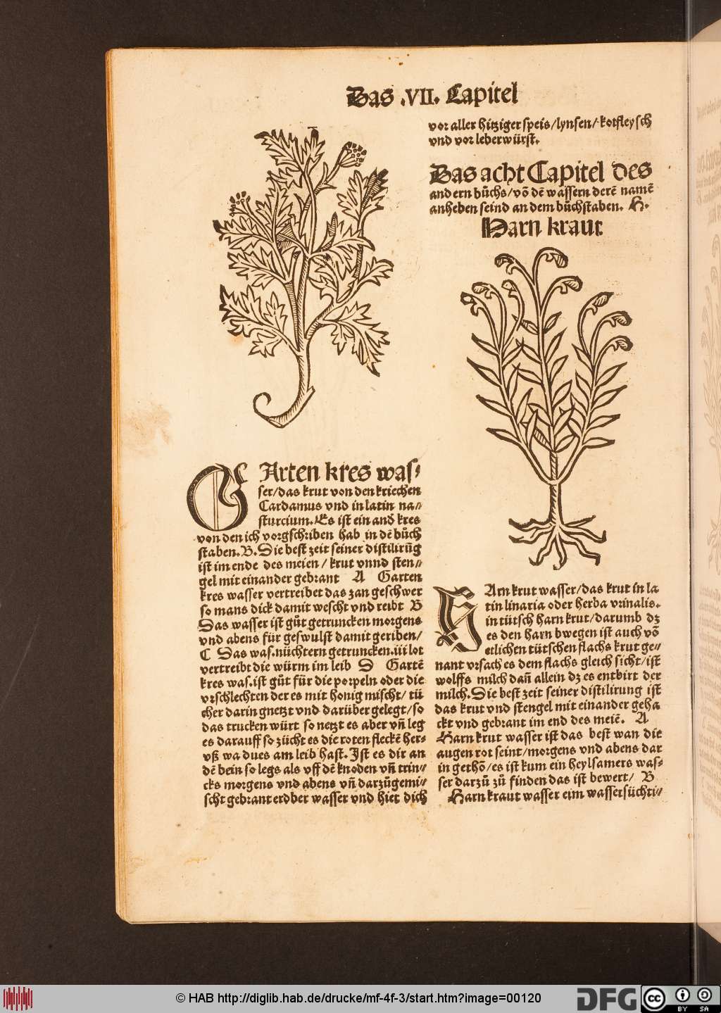 http://diglib.hab.de/drucke/mf-4f-3/00120.jpg