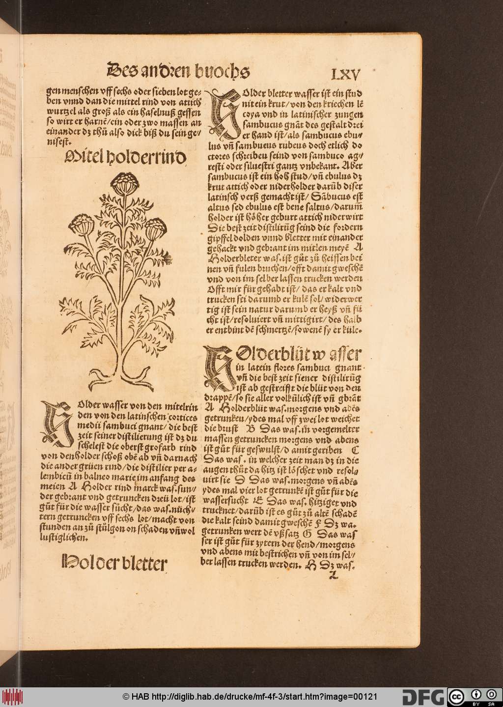 http://diglib.hab.de/drucke/mf-4f-3/00121.jpg
