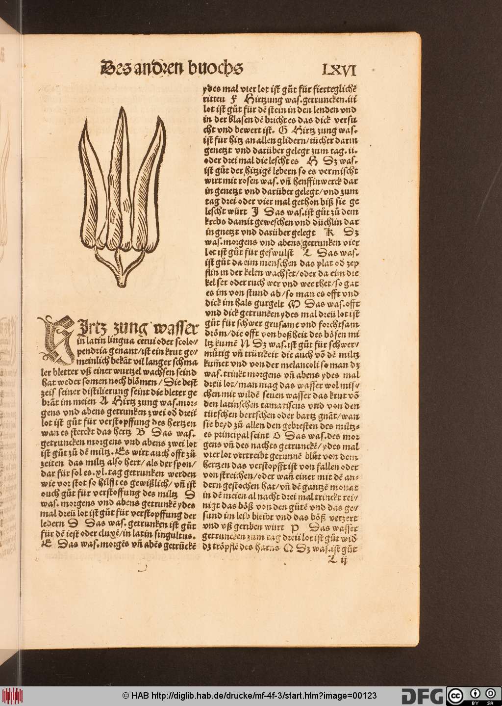 http://diglib.hab.de/drucke/mf-4f-3/00123.jpg
