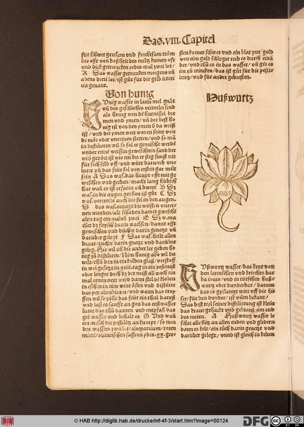 http://diglib.hab.de/drucke/mf-4f-3/00124.jpg