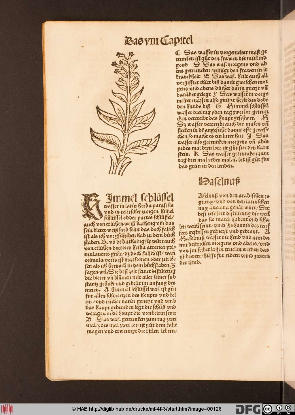 http://diglib.hab.de/drucke/mf-4f-3/00126.jpg