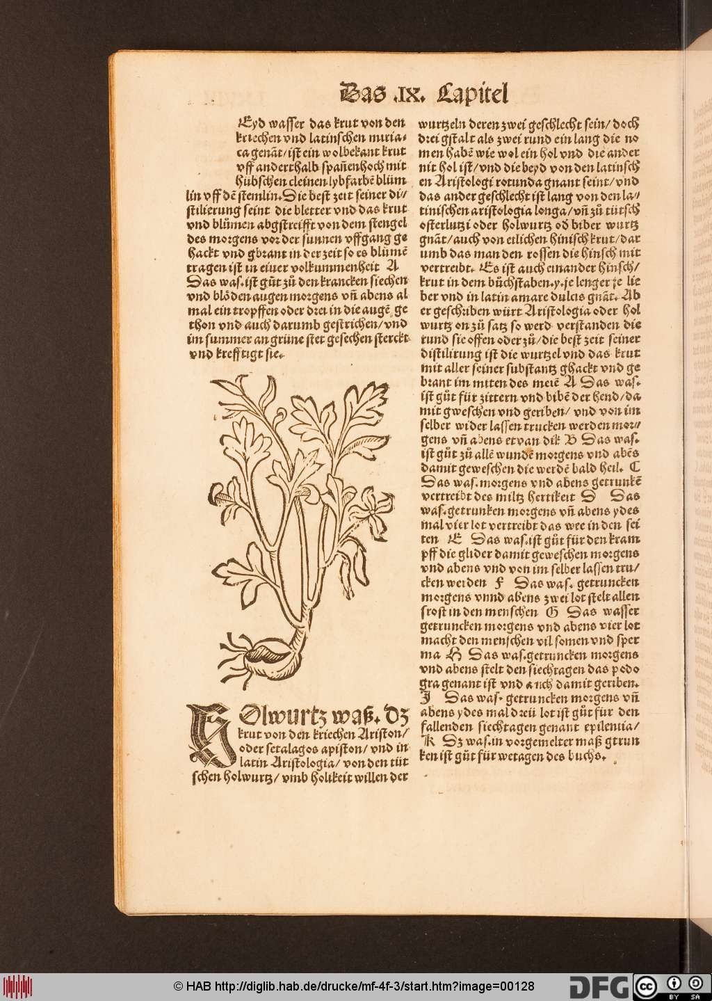 http://diglib.hab.de/drucke/mf-4f-3/00128.jpg