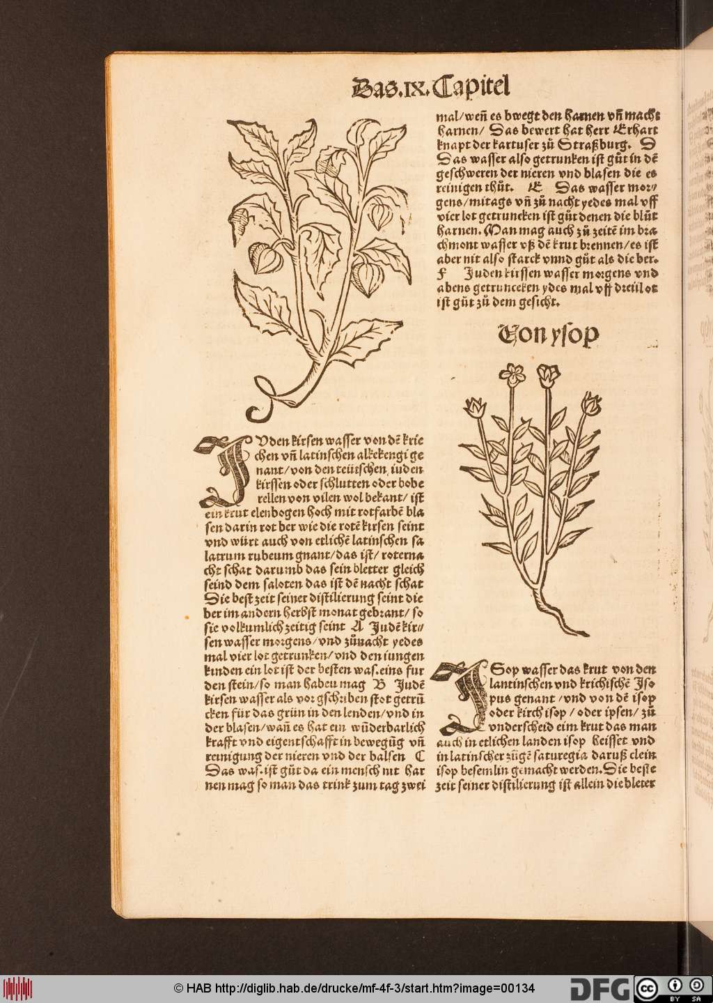 http://diglib.hab.de/drucke/mf-4f-3/00134.jpg