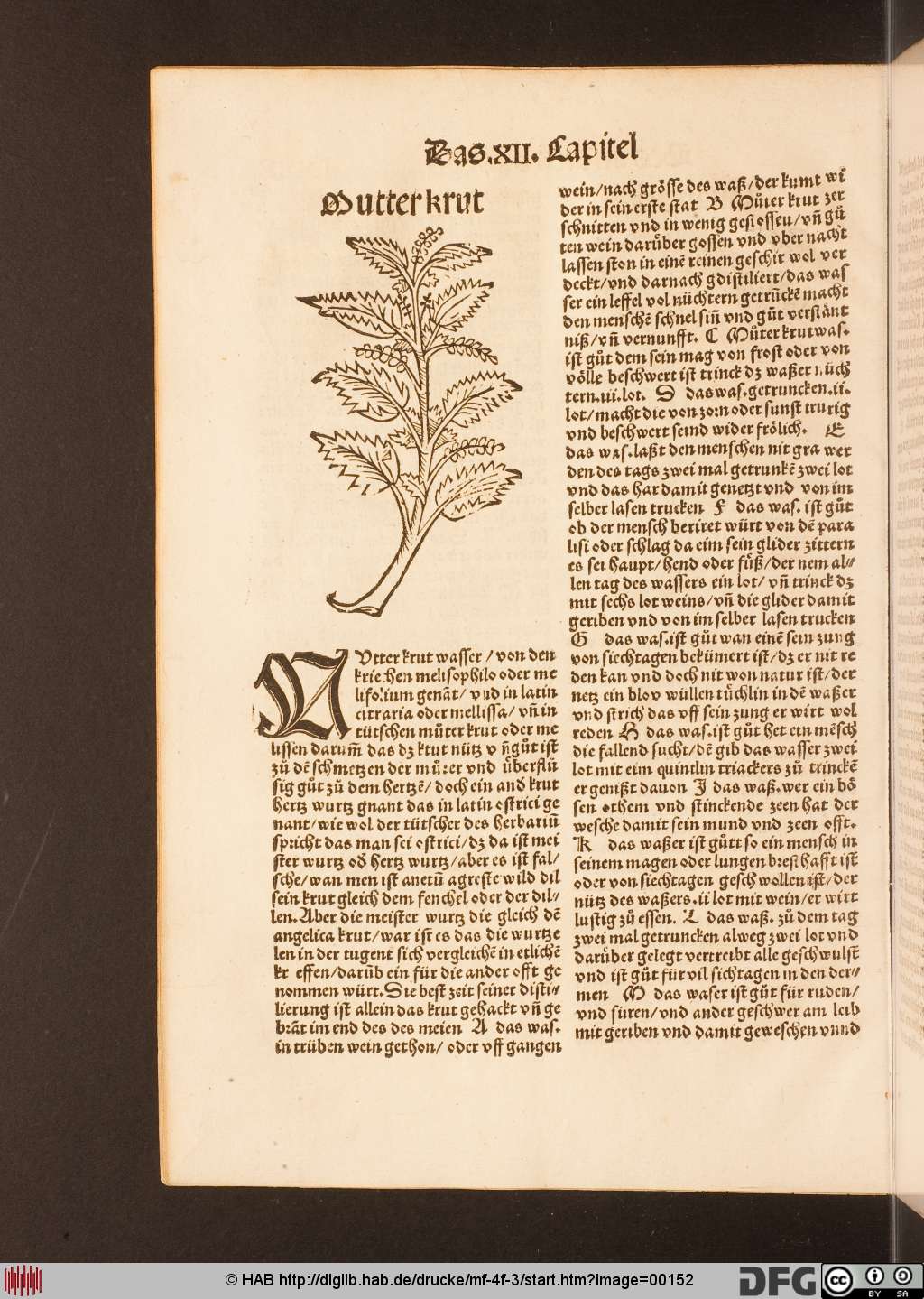 http://diglib.hab.de/drucke/mf-4f-3/00152.jpg