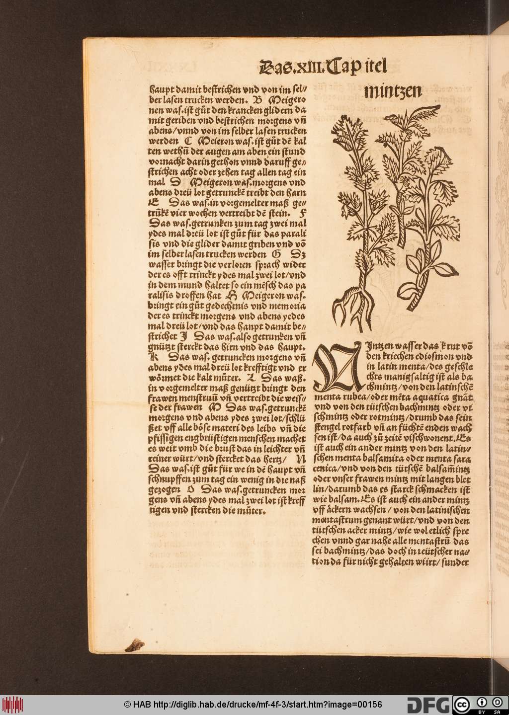 http://diglib.hab.de/drucke/mf-4f-3/00156.jpg