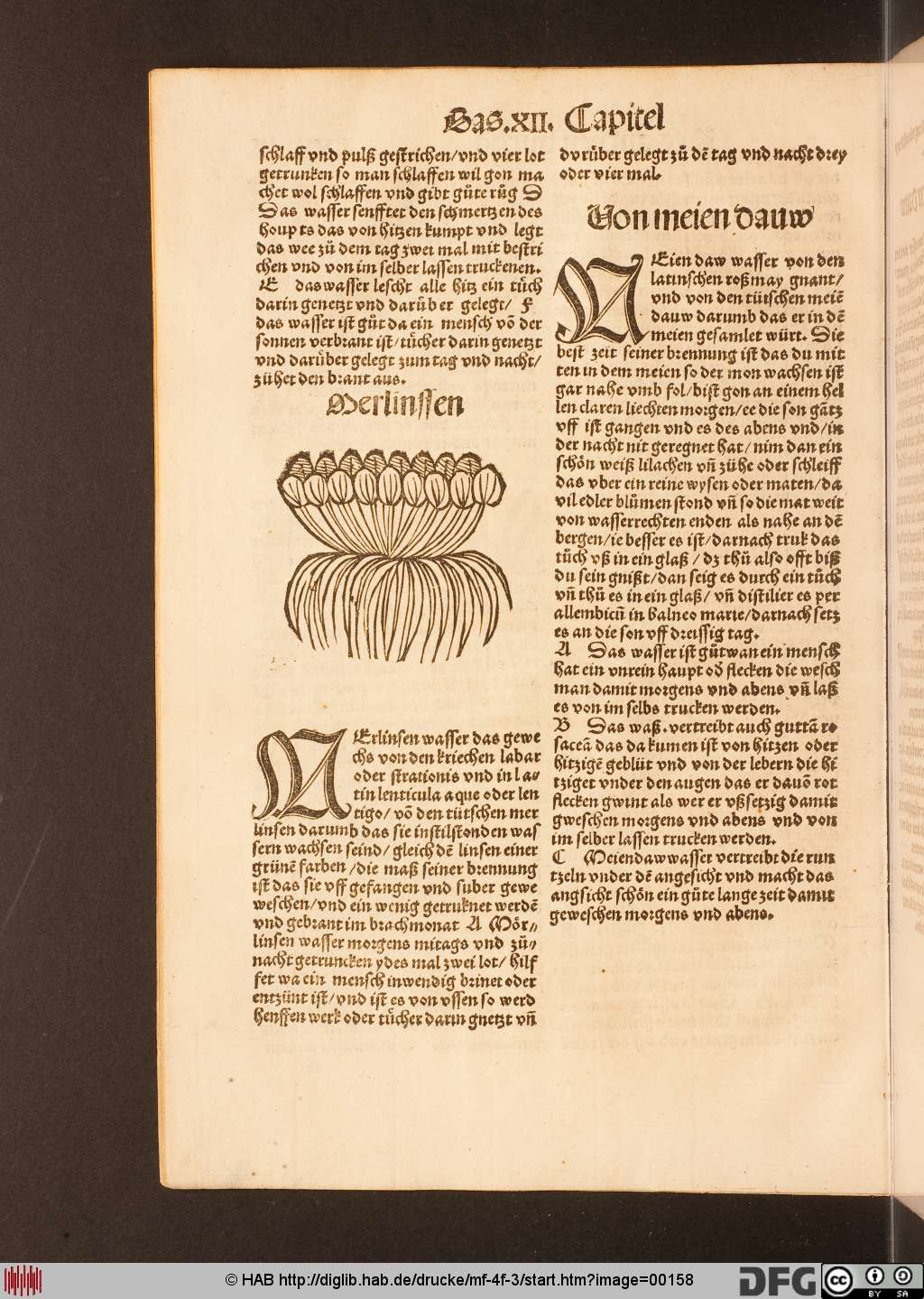 http://diglib.hab.de/drucke/mf-4f-3/00158.jpg