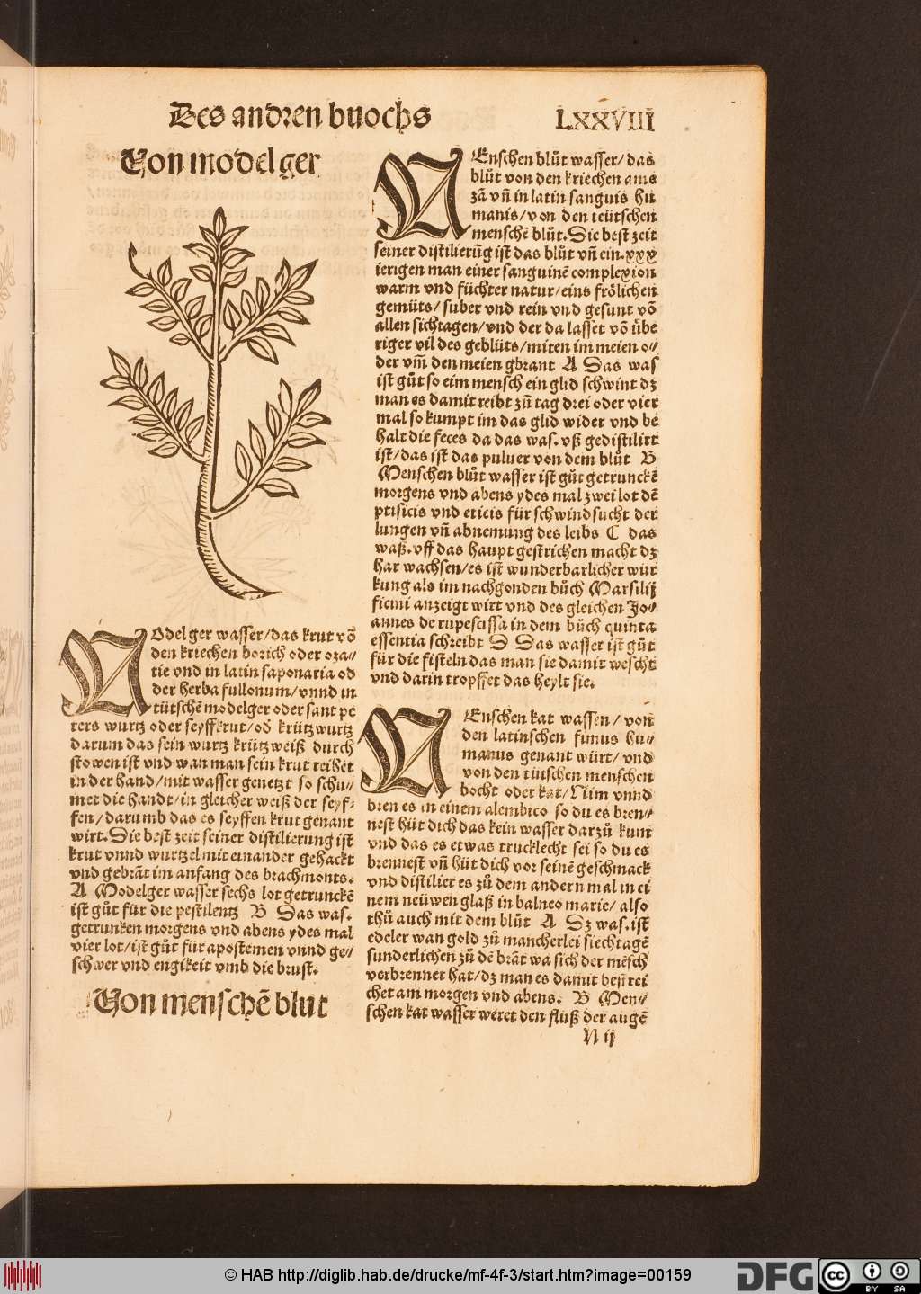 http://diglib.hab.de/drucke/mf-4f-3/00159.jpg