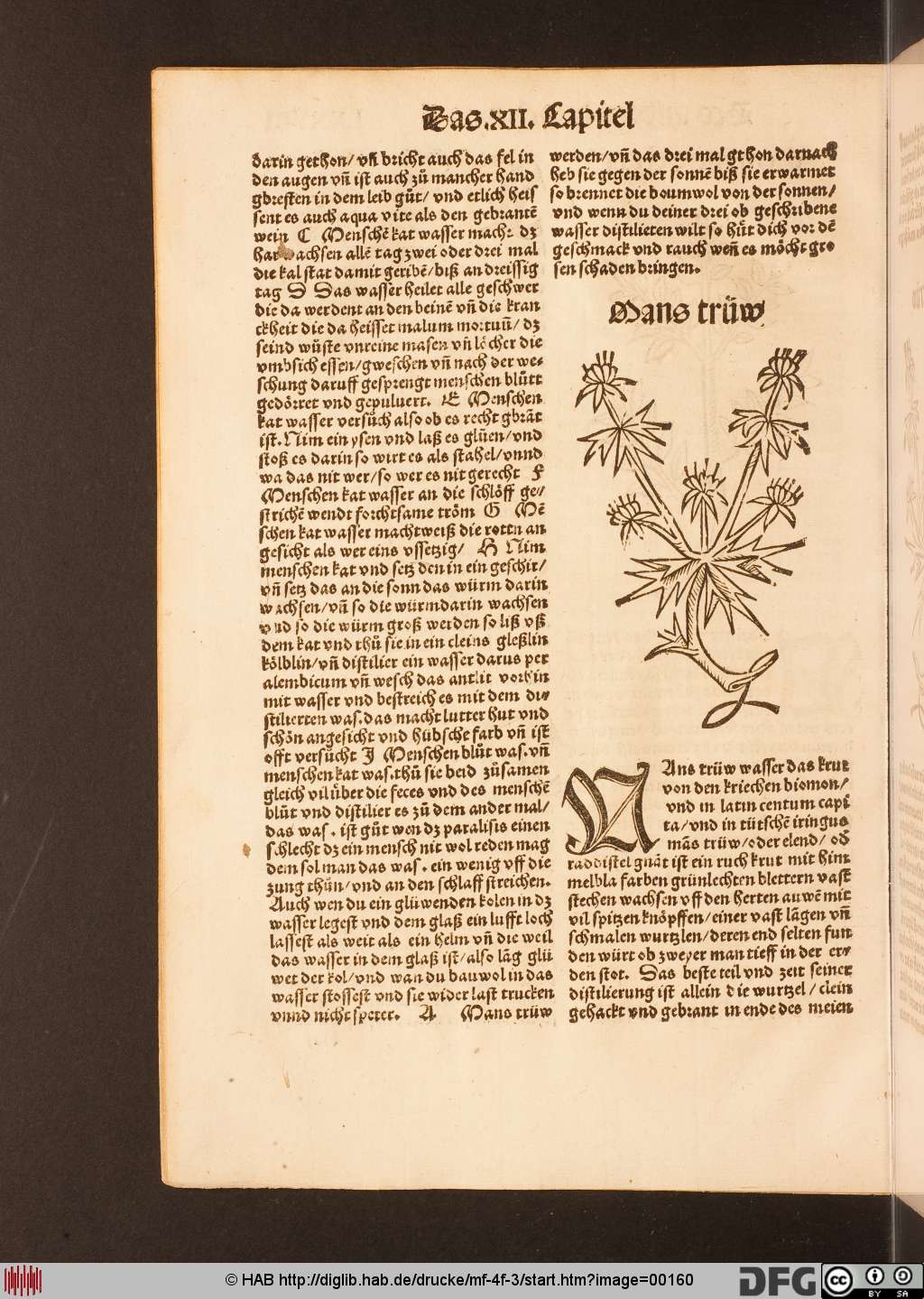 http://diglib.hab.de/drucke/mf-4f-3/00160.jpg
