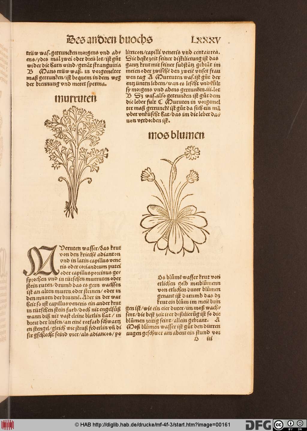 http://diglib.hab.de/drucke/mf-4f-3/00161.jpg