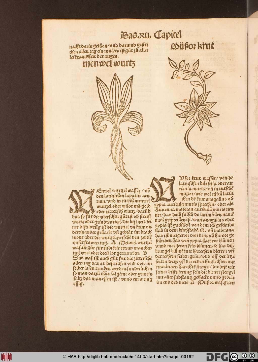 http://diglib.hab.de/drucke/mf-4f-3/00162.jpg