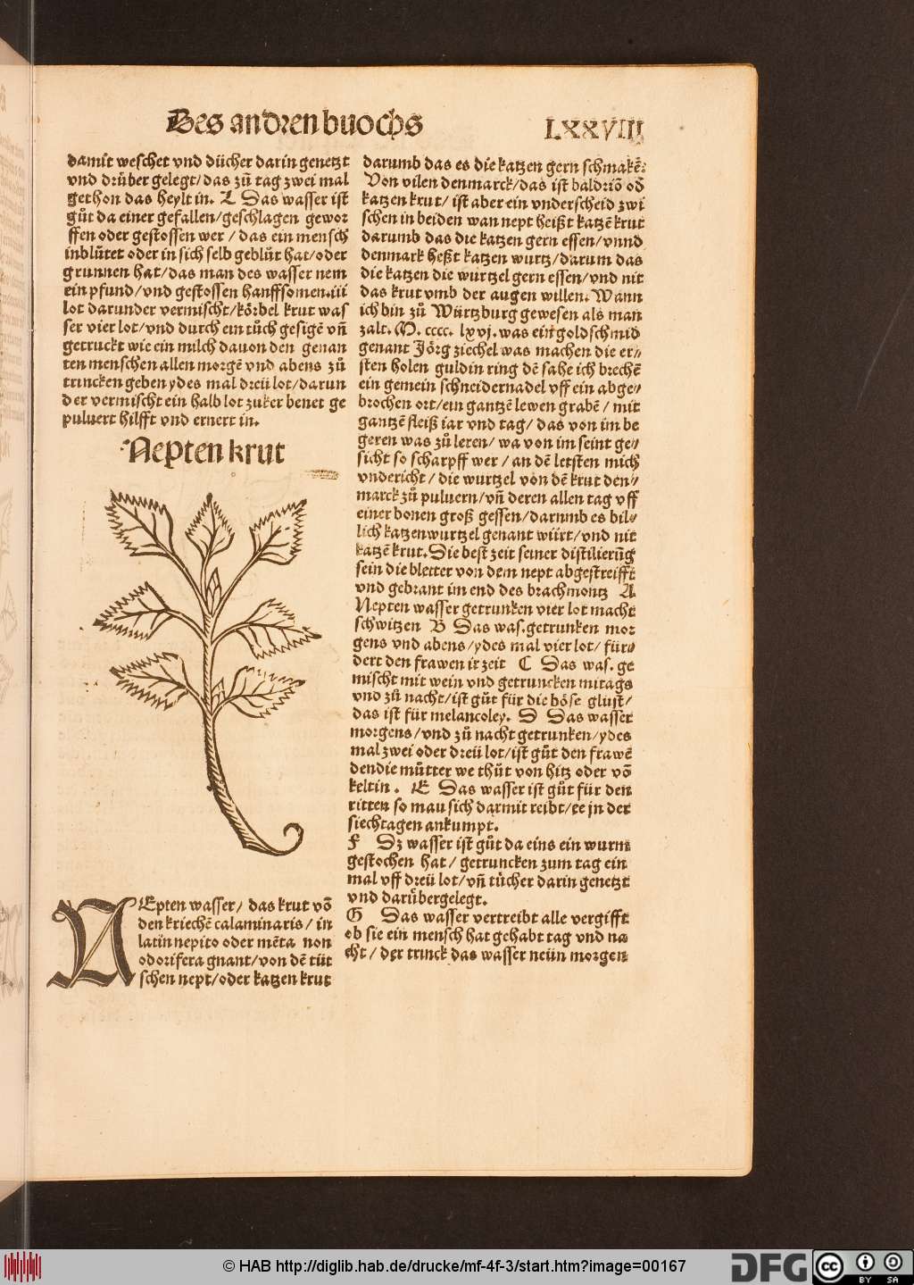 http://diglib.hab.de/drucke/mf-4f-3/00167.jpg